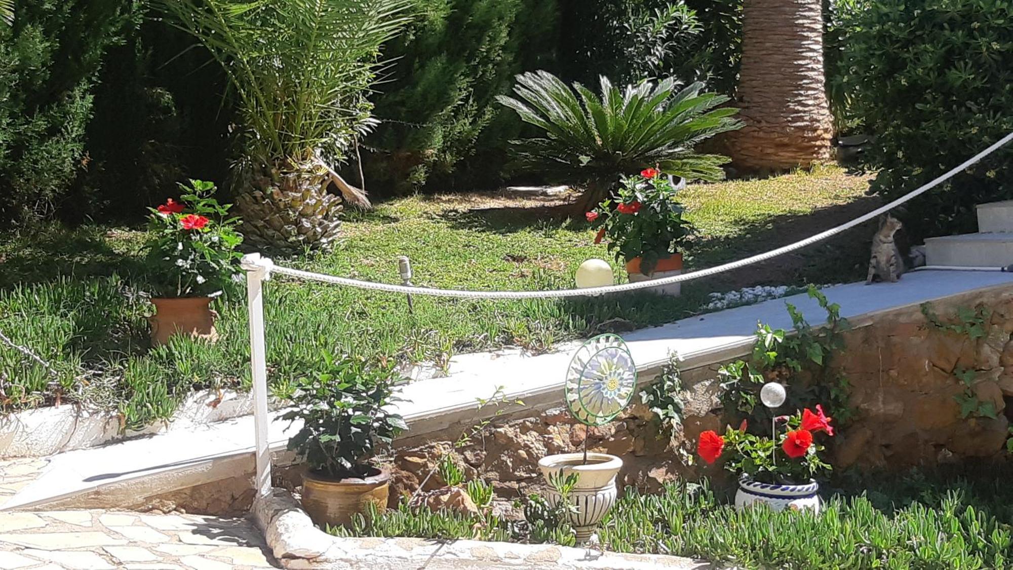Ferienwohnung Mit Privat-Pool Alcossebre Esterno foto