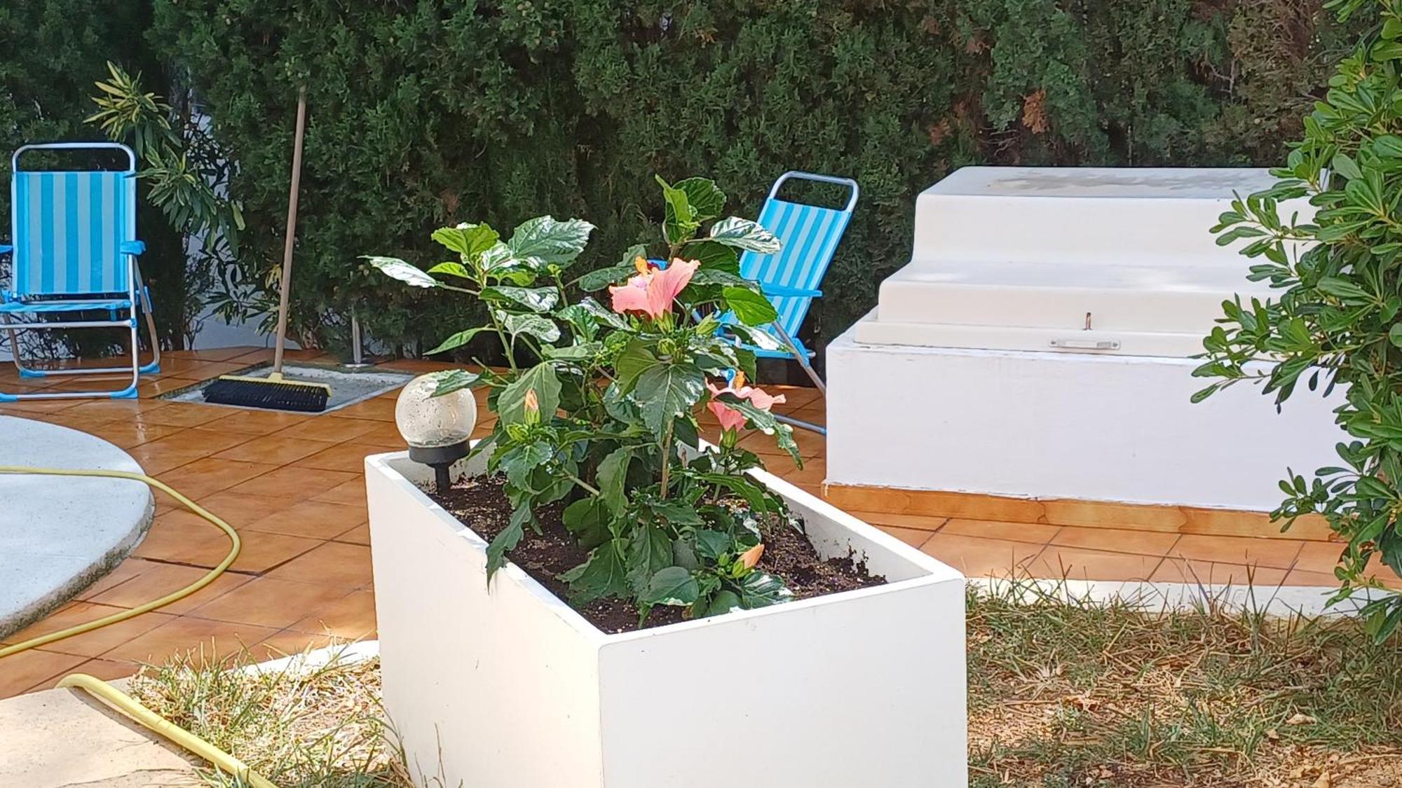 Ferienwohnung Mit Privat-Pool Alcossebre Esterno foto