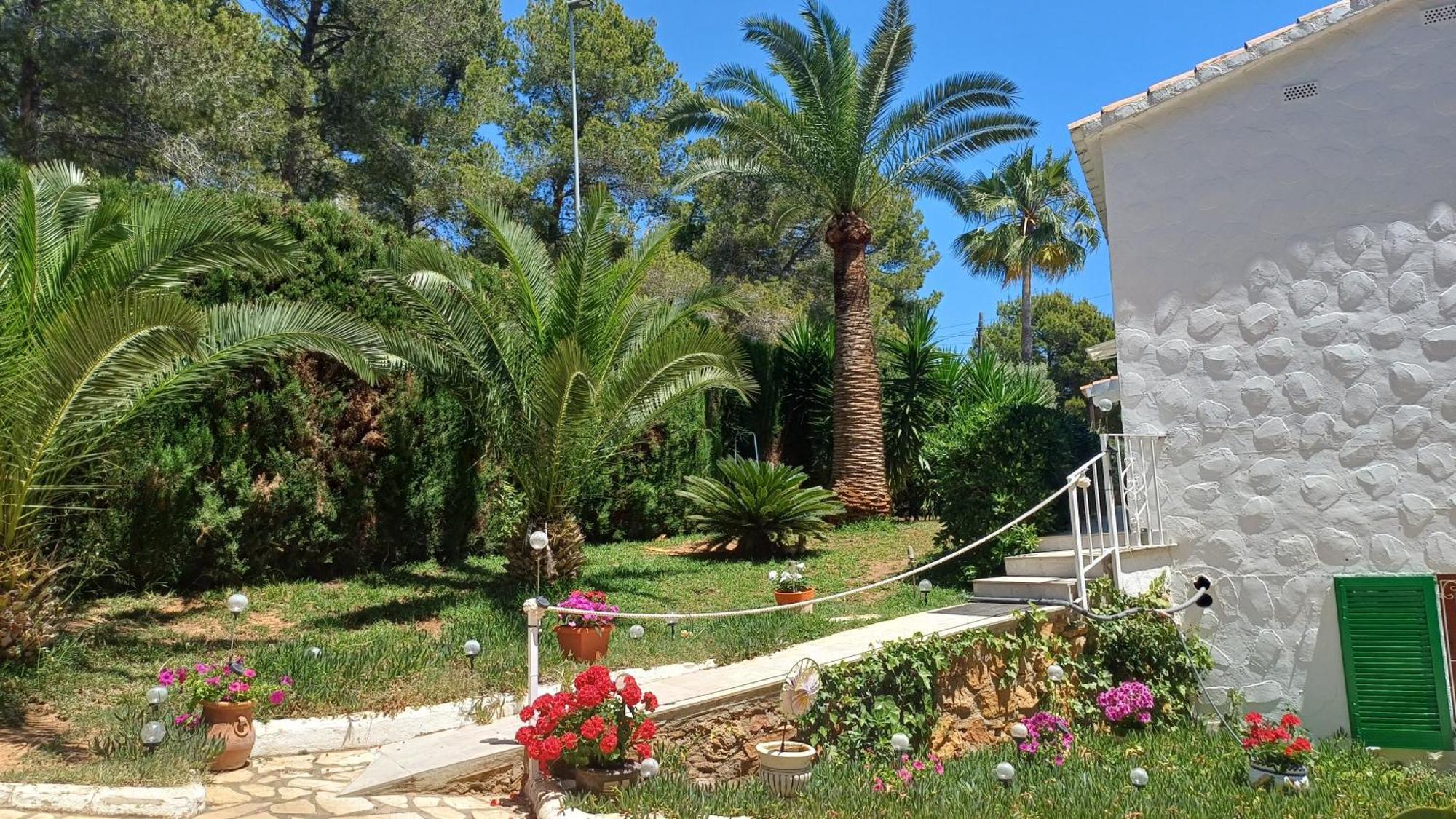 Ferienwohnung Mit Privat-Pool Alcossebre Esterno foto